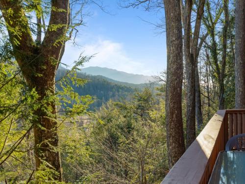 Shooting Star 4 Bedroom Hot Tub Pool Access Pet Friendly Sleeps 10 - image 2