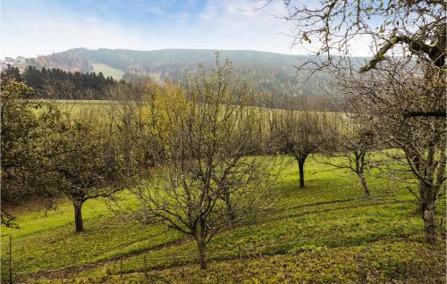 Pet Friendly Home In Fischbach With House A Panoramic View