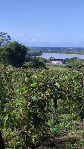 Maison Charmeilles - La suite Pomerol