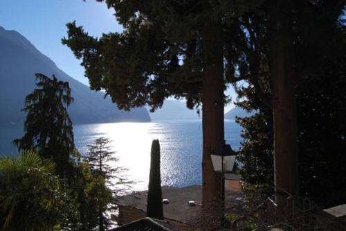 Luxury Suite Apartment with Palm Garden and Lake View