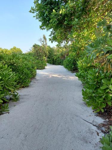 Boli Villa Thoddoo Boli Villa Thoddoo