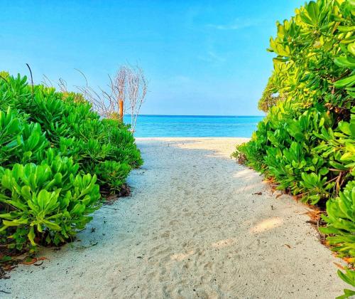 Boli Villa Thoddoo Boli Villa Thoddoo