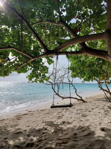 Boli Villa Thoddoo Boli Villa Thoddoo