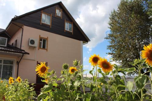 Подсолнухи ул мира 37б фото Подсолнухи ул мира 37б фото