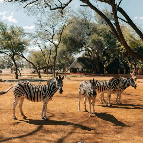 Omaruru Game Lodge photo 3