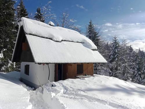 Počitniška hiša Jeklar