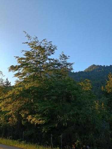 Lago Ranco, Casa en la montaña camino el Arenal