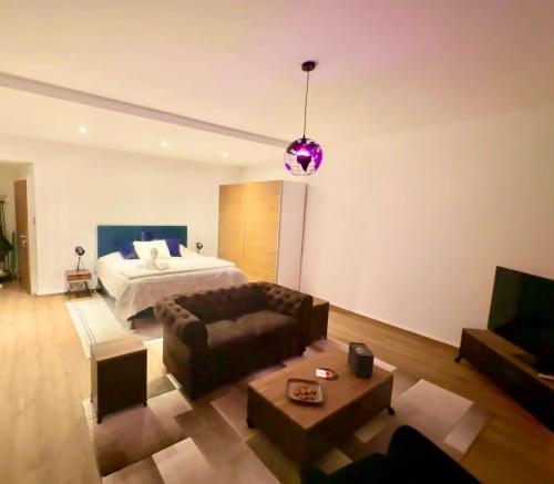 Magnificent apartment 2x beds, Geneva Lake - Apartment - Geneva
