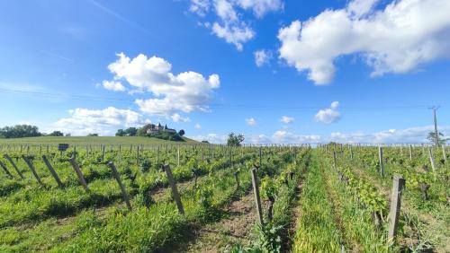 Maison Charmeilles - Suite Montagne Saint Emilion