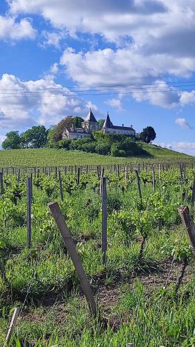 Maison Charmeilles - Suite Montagne Saint Emilion