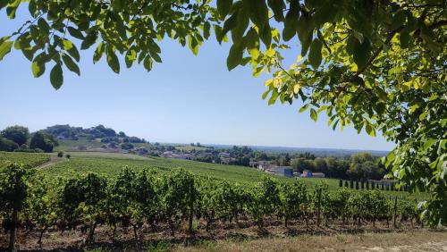 Maison Charmeilles - La suite Saint Emilion