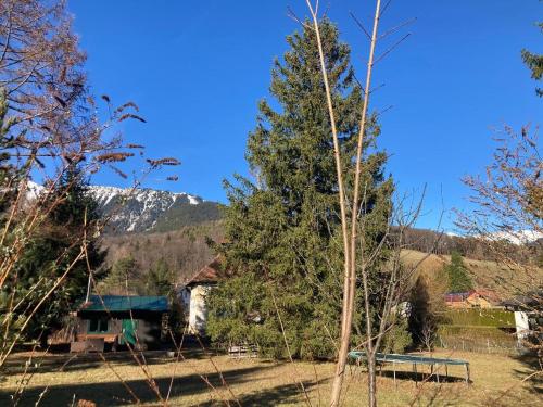 Kleines romantisches Chalet in der Semmering-Rax Region