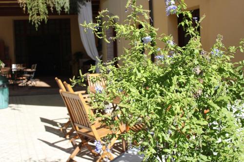 B&B Al Borgo – Ravenna, MI