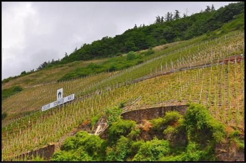 Pension Adelheid Moselhype&Wine – Zell (Mosel)