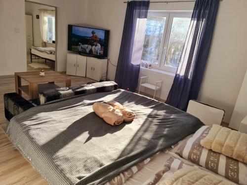 Celý apartmánový dom Donovaly-Hanesy so saunou (Cely apartmanovy dom Donovaly-Hanesy so saunou) in 比斯特里察