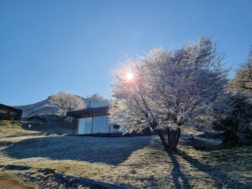 Cabañas Patagonia Indómita