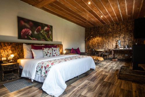 Hotel Termales del Ruiz in Manizales