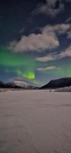 Elvestua - image 12