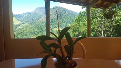 Kilátás, Pousada Vereda Tropical in Ponte Branca