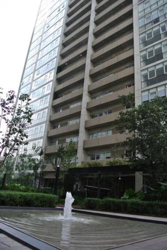 Cozy apartment in Mexico City.