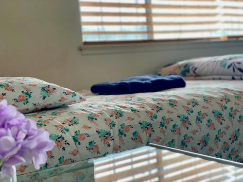 WHOLE Family - Wolfgram – Sacramento, CA