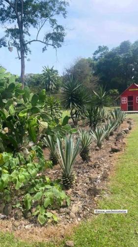 Rancho 3 marias in Córdoba, Mexico