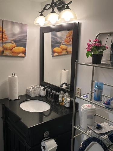 Serenity & memorable Cozy Lower Level Apartment Room in TownHouse Private Entrance, Gatineau (fotografie 10)