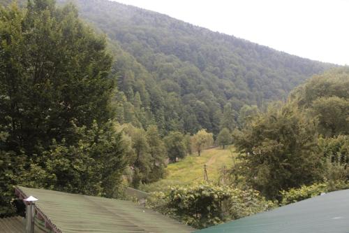 Mrija, Jaremče (foto 2)