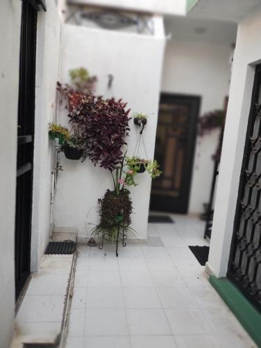 Casa Reyna in Atlixco, Mexico