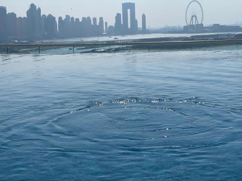 Seven Palm, Private beach, Infinity Pool, High Floor 3BDR, Dubaj (zdjęcie 10)