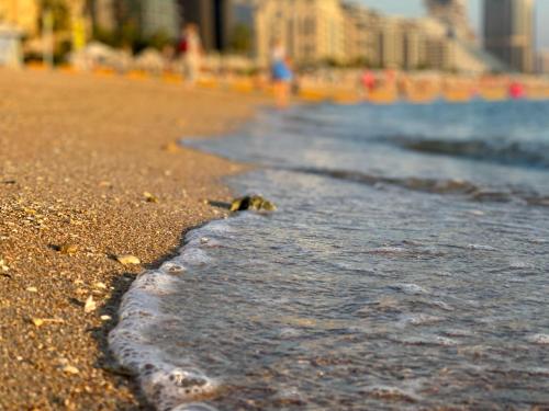 Seven Palm, Private beach, Infinity Pool, High Floor 3BDR, Dubaj (zdjęcie 7)