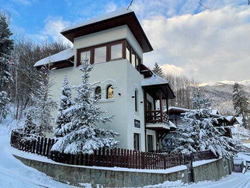 B&B Sinaia - Alfinio Villa - Bed and Breakfast Sinaia