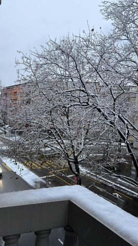  Swiss Christmas Apartment in Zürich