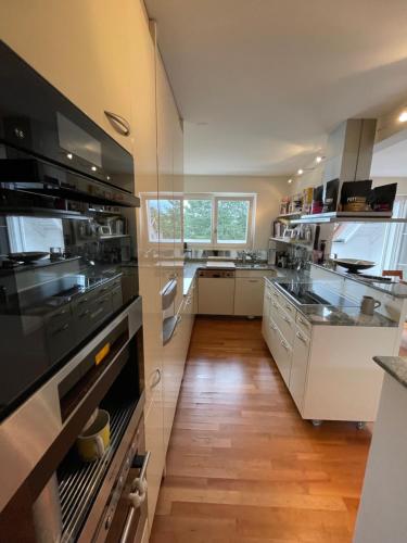 Spacious and stylish Apartment in Zurich, Zürich (photo 11)