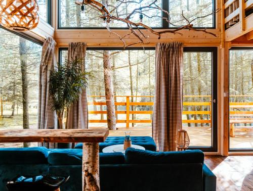 Вид, Wood Land Liswarta domki w drzewach in Niwiska