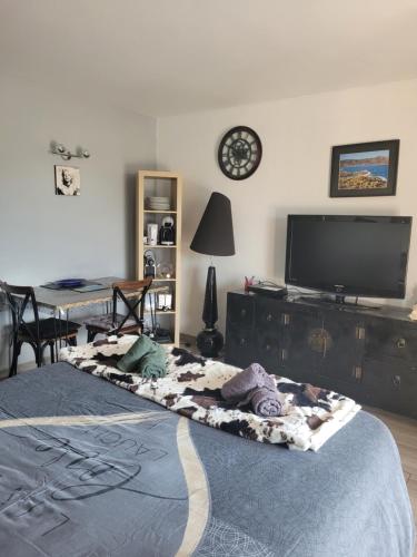 studio agay a 2 pas des plages in Agay