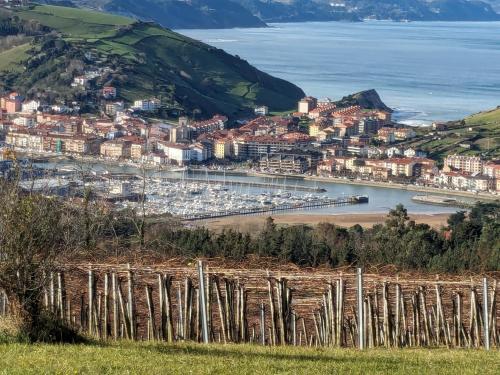 Zumaia Basque Alai - Apartment - Zumaia