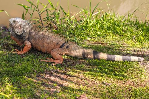 Los Colores Ecoparque