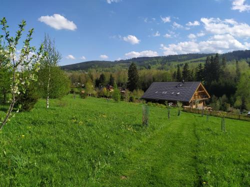 Srub Javorná - apartmány Šumava - Apartment - Javorná