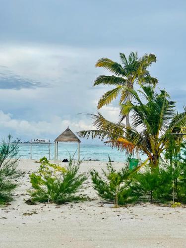 Tropica Sea at Tropical Island: sun, beach and bathing dreams