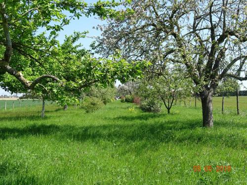 Заобикаляща среда, Gîte du Grand Cèdre (Gite du Grand Cedre) in Saint-Denis-les-Rebais