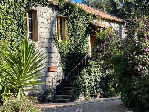 Chambres d'Hôtes Barraconu - Chambre d'hôtes - Porto-Vecchio