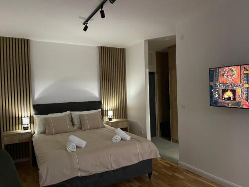 Apartman Aleksandar in Temerin