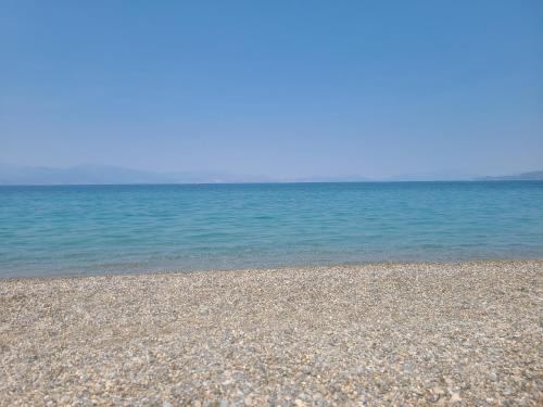 An Oasis By The Beach