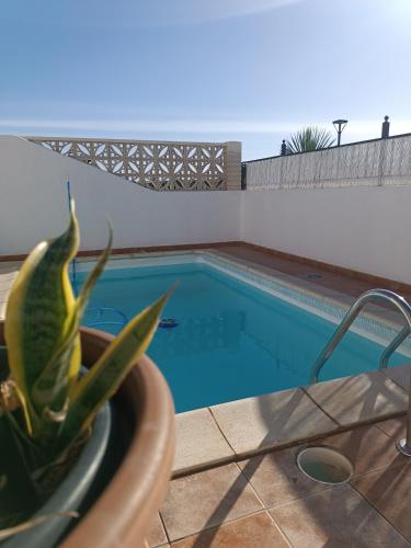 MOANA SURF HOUSE, Corralejo