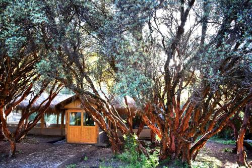 Espeletia Lodge in Tulcan