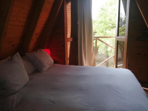 Per a Tu in Ocean Park