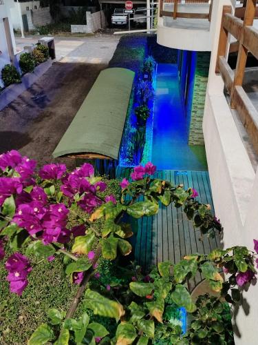 Hotel StarFish in Galapagos