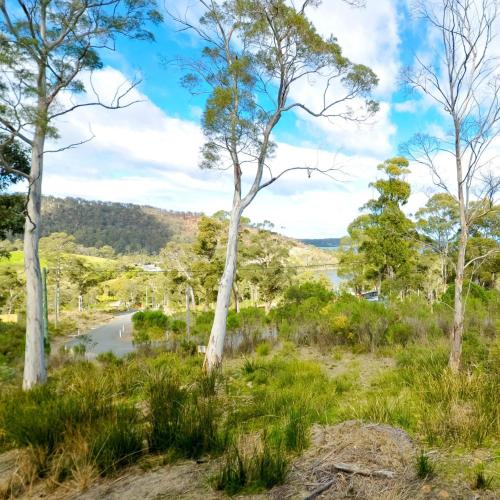Hill Top Retreat