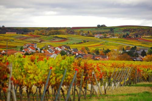 Létesítmények, Pinterest auf dem Dorf - Ferienwohnung in Münster-Sarmsheim